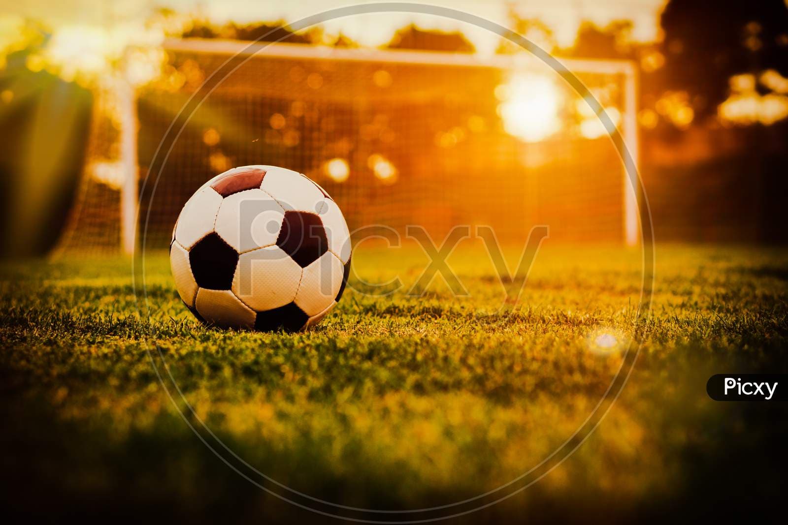 Holland fc Valkyrie Cup 2026