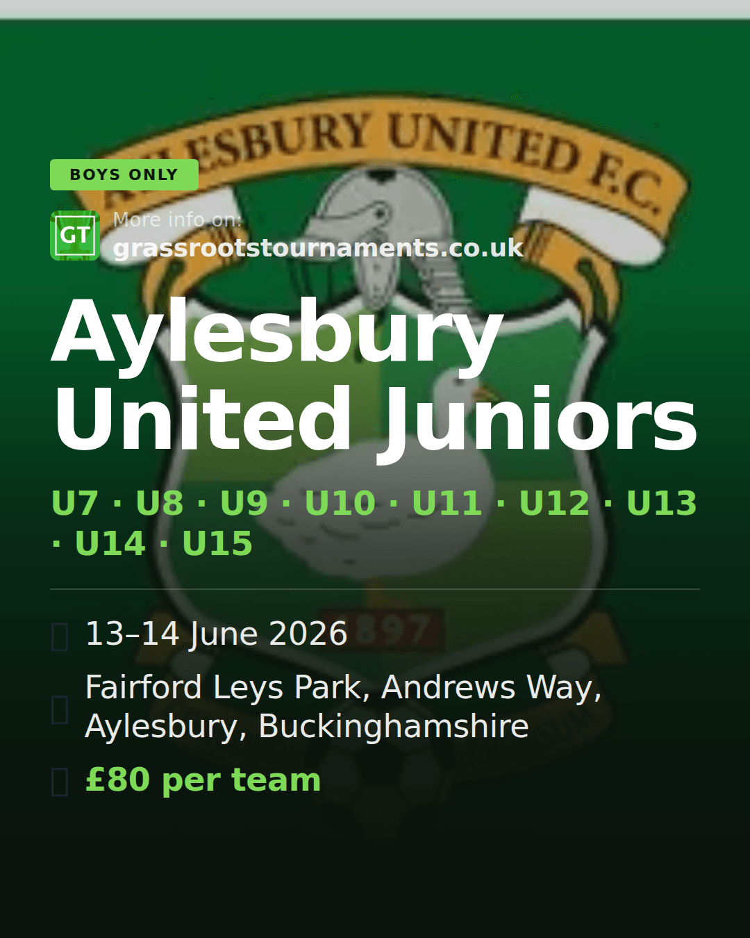 Aylesbury United Juniors — social preview