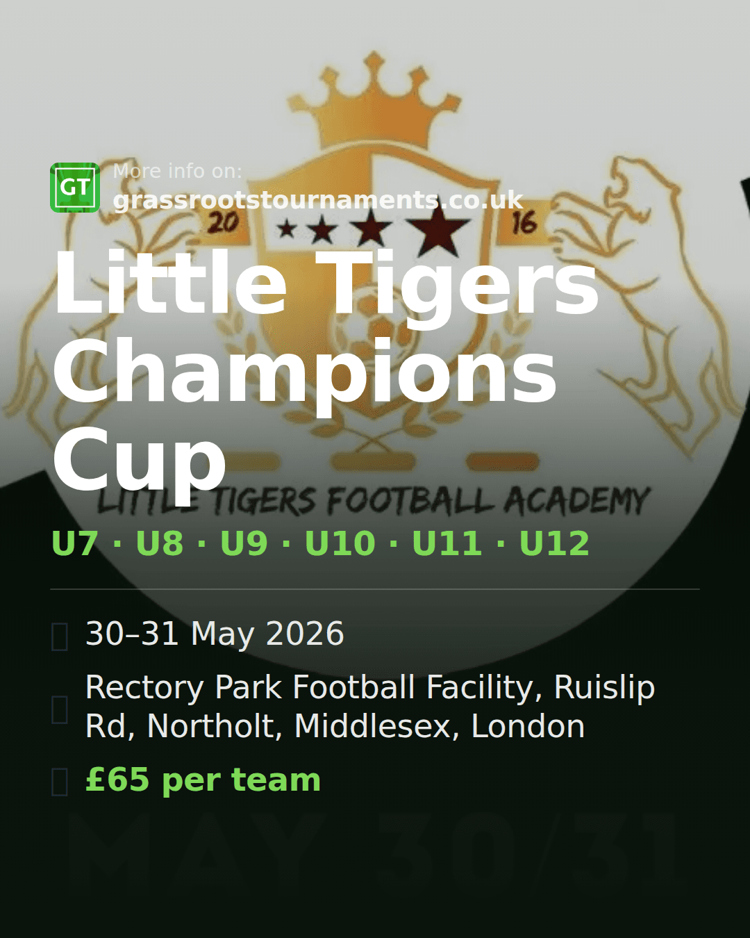 Little Tigers Champions Cup — social preview
