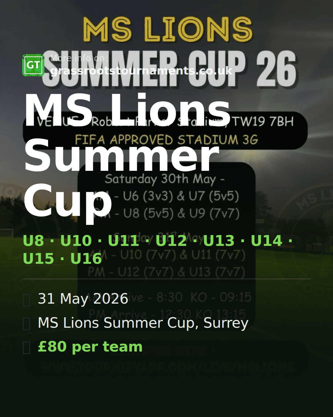 MS Lions Summer Cup — social preview
