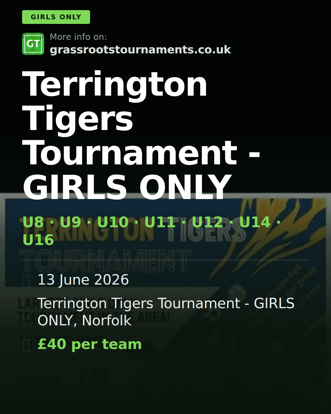 Terrington Tigers Tournament - GIRLS ONLY — social preview