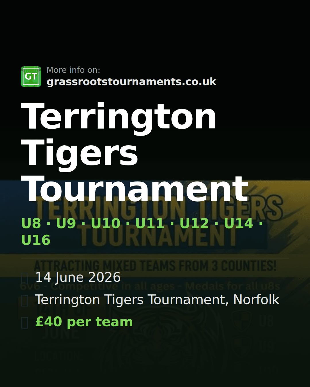 Terrington Tigers Tournament — social preview