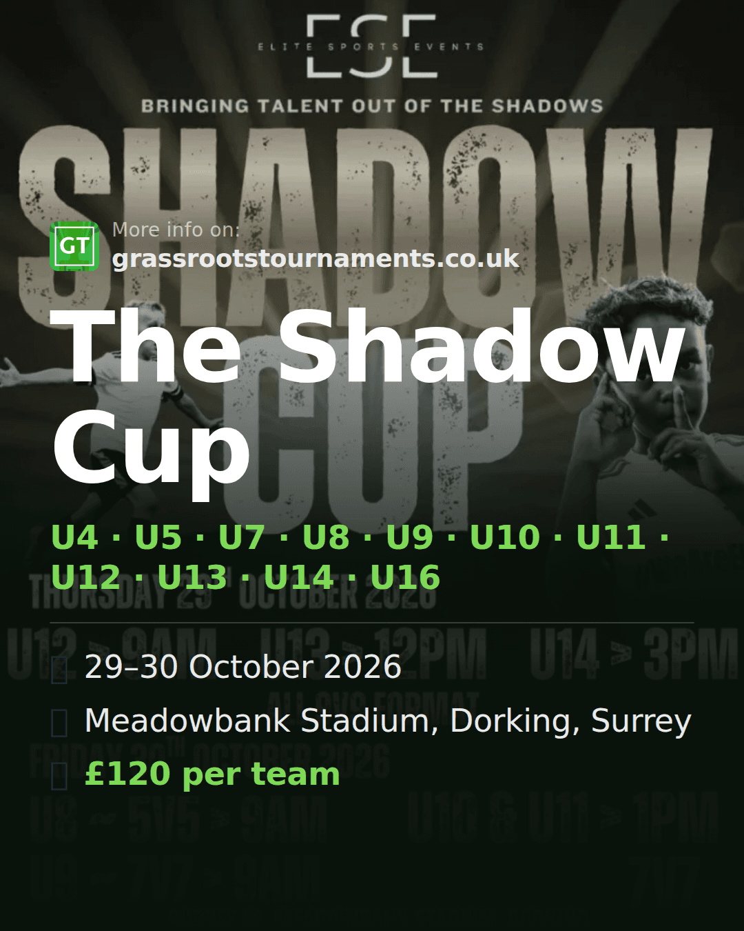 The Shadow Cup — social preview