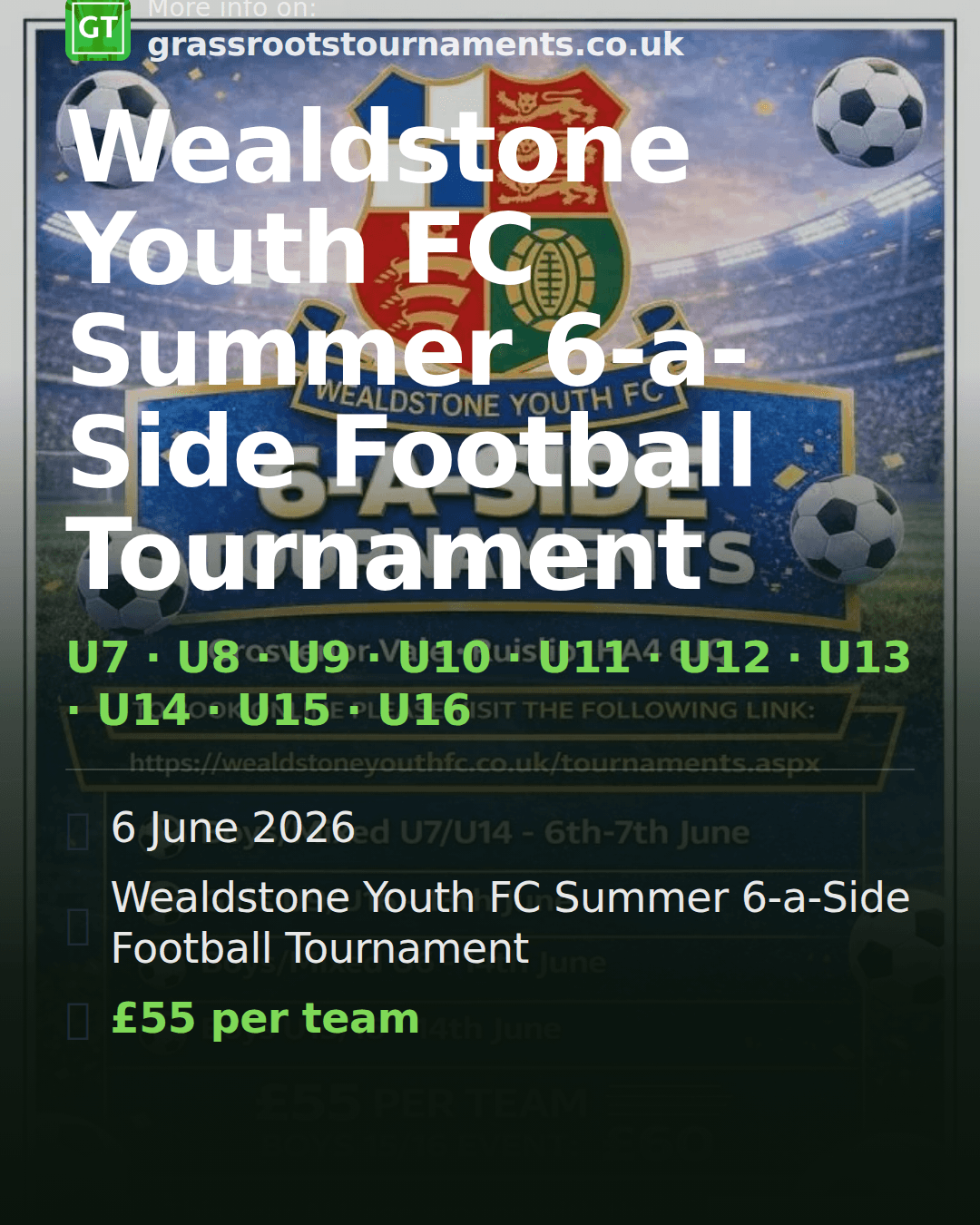 Wealdstone Youth FC Summer 6-a-Side Football Tournament — social preview