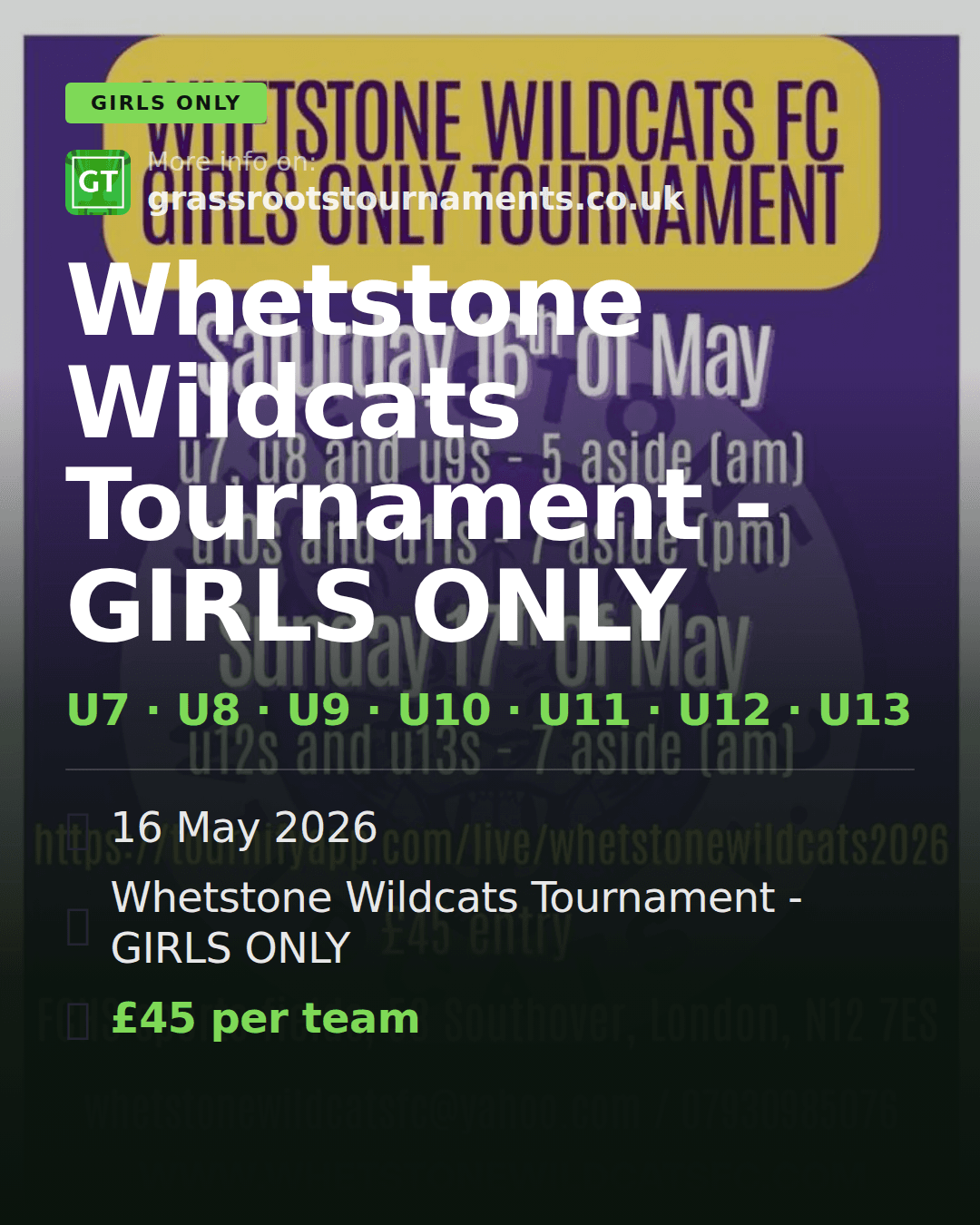 Whetstone Wildcats Tournament - GIRLS ONLY — social preview