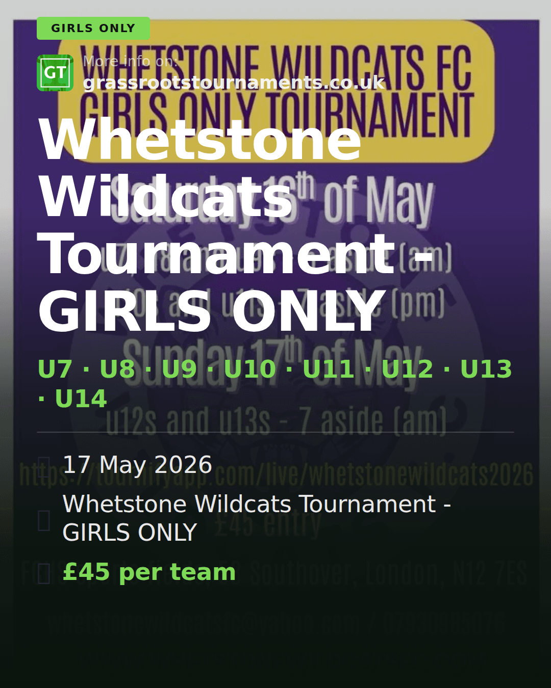 Whetstone Wildcats Tournament - GIRLS ONLY — social preview